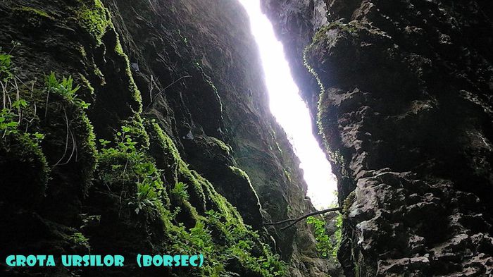 135. ,,Grota Ursilor,,  (Borsec) (2) - Fascinanta Romanie - 5