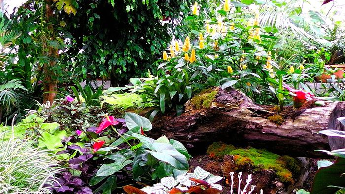 213. - Fascinanta Romanie - 5