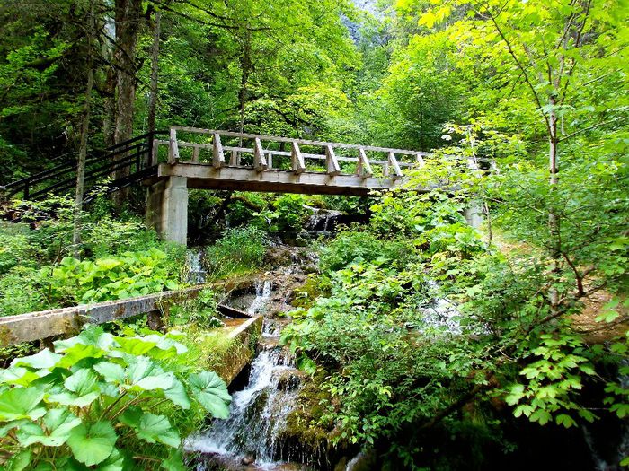 351. Drumul de acces spre Pestera lui Ionele (Garda de Sus) - Fascinanta Romanie - 5