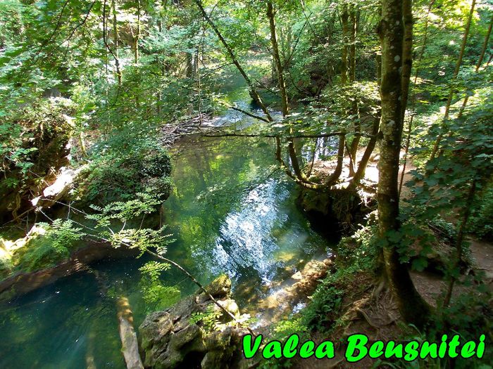 387. Valea Beusnitei (Parcul National Cheile Nerei - Beusnita) - Fascinanta Romanie - 5