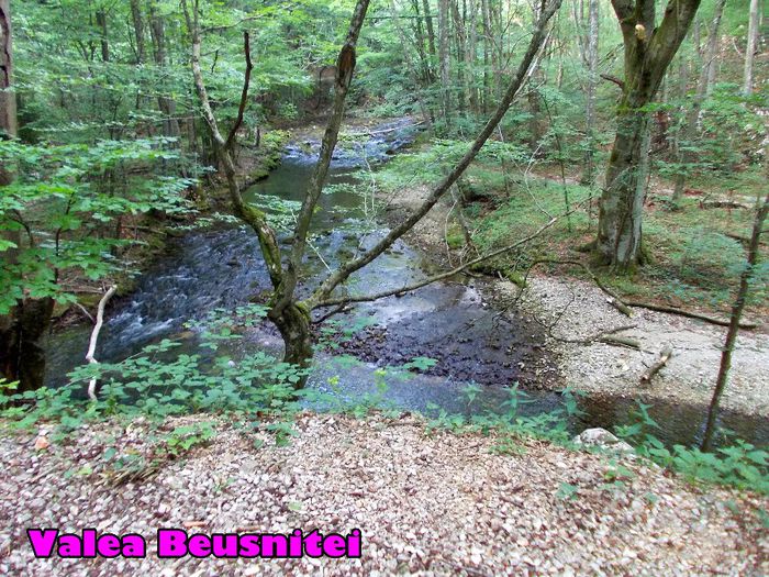 390. Valea Beusnitei (spre  ,,Ochiul Bei,,) - Fascinanta Romanie - 5