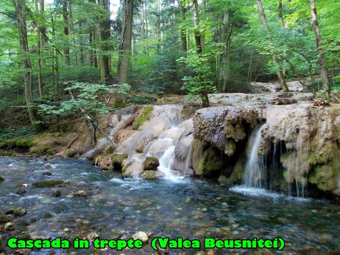 392. Cascada in trepte (Valea Beusnitei) - Fascinanta Romanie - 5