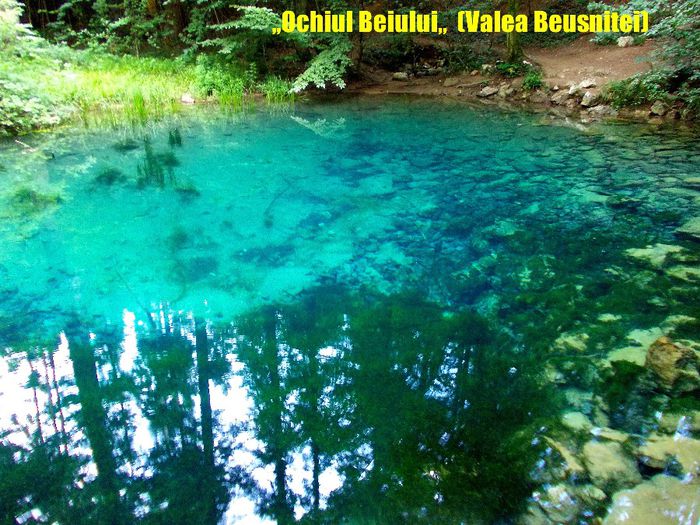 398.  ,,Ochiul Beiului,, (2) Valea Beusnitei (Parcul National Cheile Nerei - Beusnita) - Fascinanta Romanie - 5