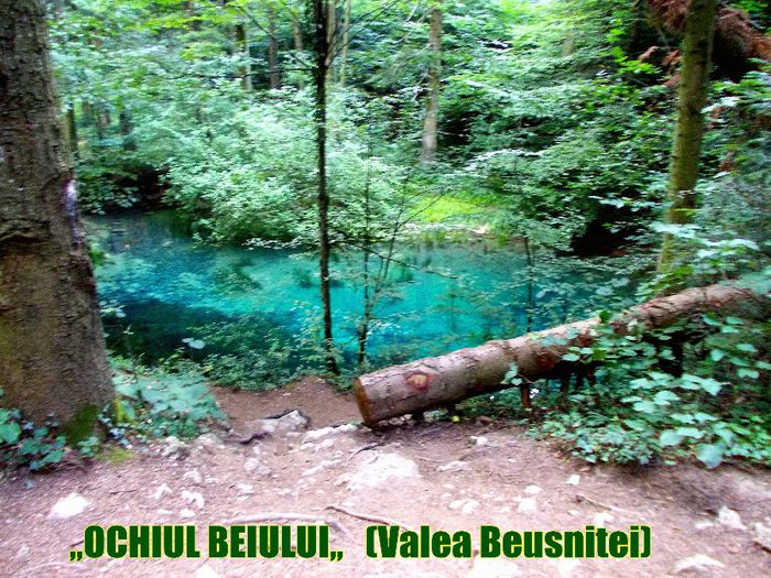 399.  ,,Ochiul Beiului,, (3) Valea Beusnitei (Parcul National Cheile Nerei - Beusnita) - Fascinanta Romanie - 5