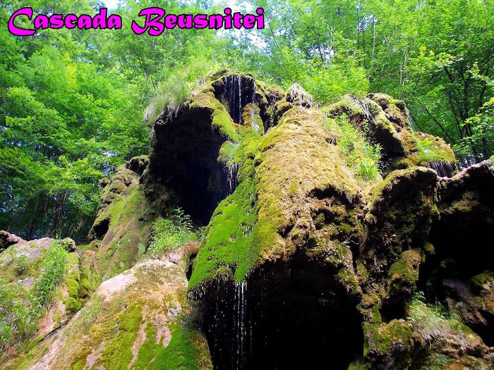 411. Cascada Beusnitei (2) - Fascinanta Romanie - 5