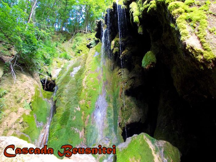 414. - Fascinanta Romanie - 5