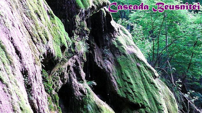 419. - Fascinanta Romanie - 5