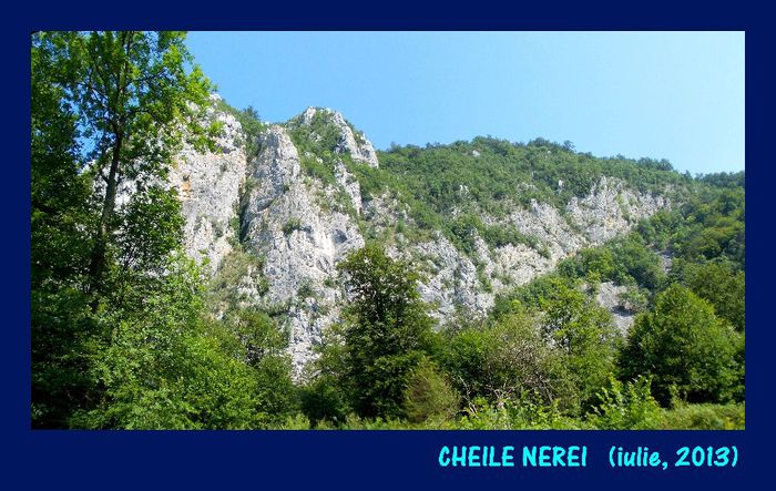440. In Cheile Nerei - Fascinanta Romanie - 5
