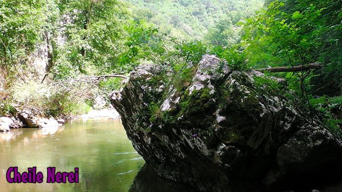 471. Stanci si apa (2) (Cheile Nerei) - Fascinanta Romanie - 5