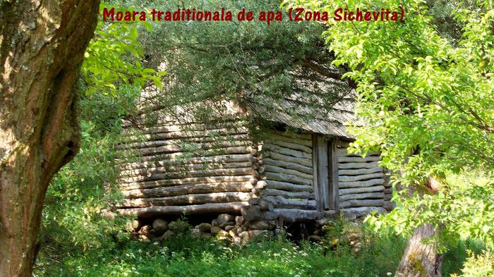 500. Zona Sichevita - Moara traditionala de apa - Fascinanta Romanie - 5