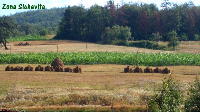 505. In zona Sichevita (3) - Fascinanta Romanie - 5