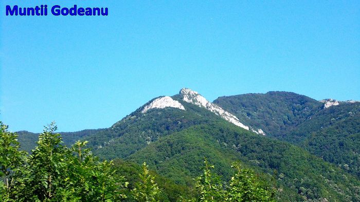 602. Muntii Godeanu (Zona Herculane - Baia de Arama)