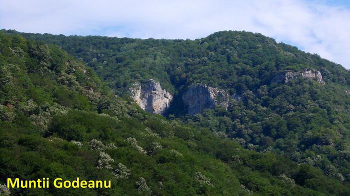 606. Muntii Godeanu (Zona Herculane - Baia de Arama)
