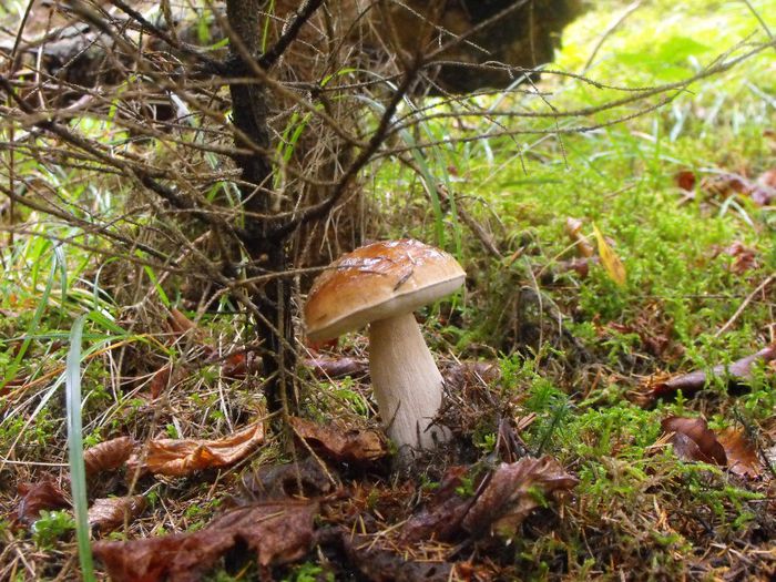 469491_3226575443142_758326196_o