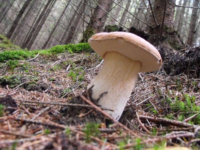 1271626_4907841993755_718047758_o