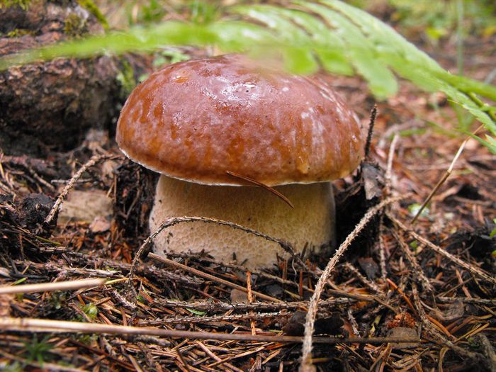 1274372_4898514160565_899532705_o