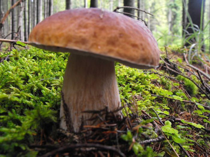 1293027_4891229418451_11835488_o