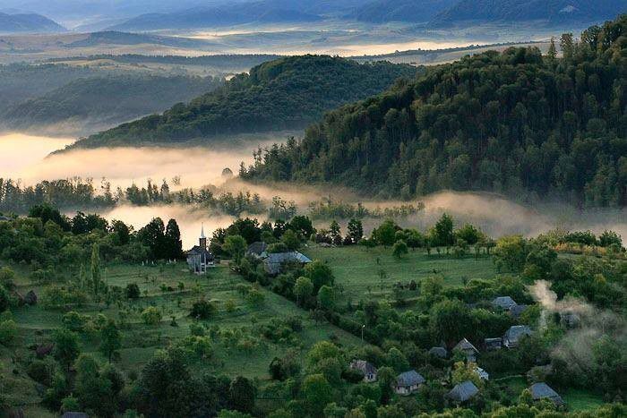 1555352_654160894648369_2092260523_n