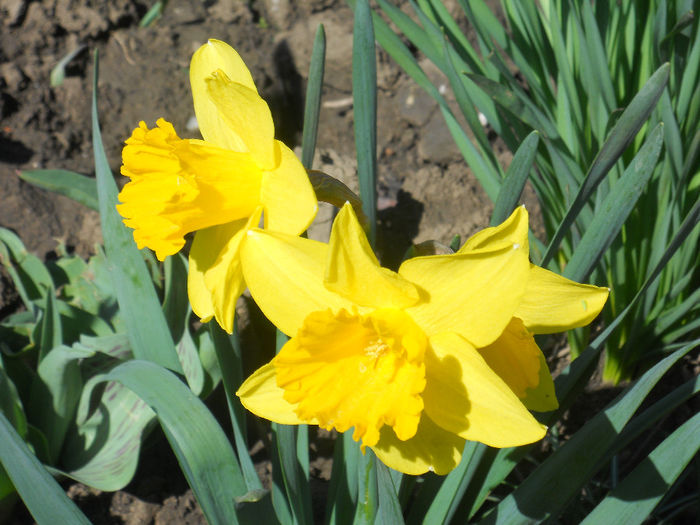 DSCN0747_027