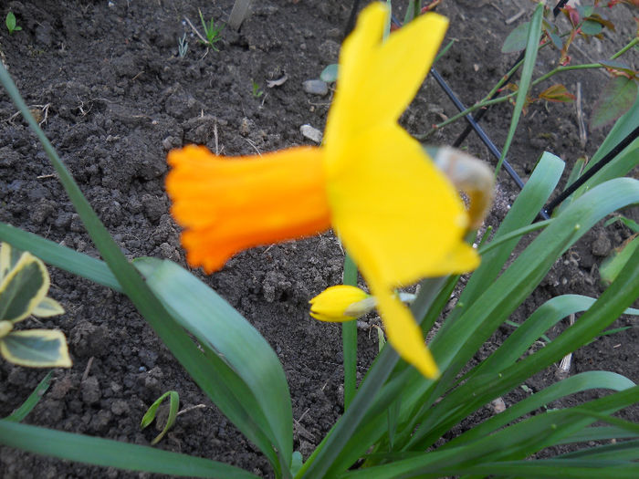 DSCN0760_040