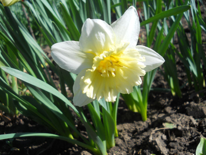 DSCN0765_045