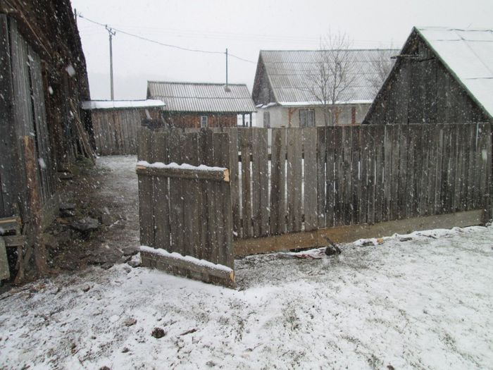 IMG_1973 - forraskoze 2o12 13 14