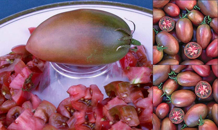 Tomate Purple_Russian - De vanzare seminte -legume-mirodenii-flori-arbori