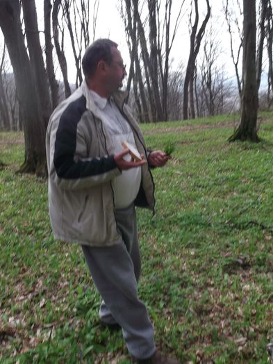 PUIU BALOTEAZA PUR.....SI SIMPLU ! - LEURDA PLANTA VIETII