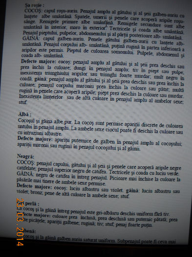 pitica americana 7