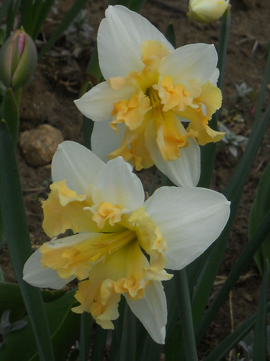 DSCN0802