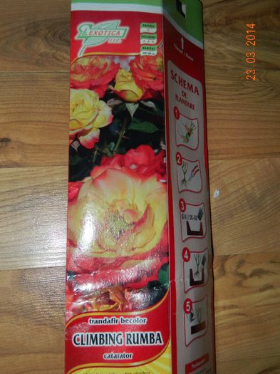 DSCN6684
