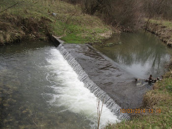 IMG_3052 - Iesire primavara