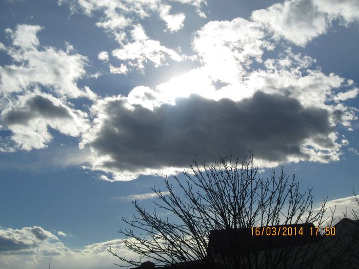 IMG_3191 - cerul in martie