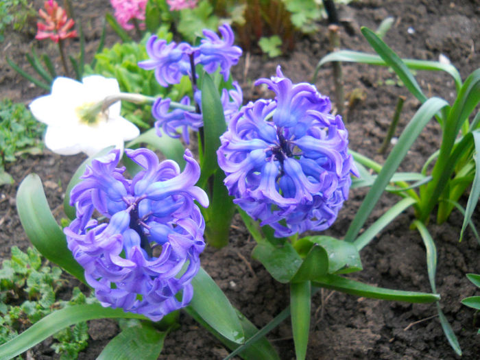 DSCN0827_002