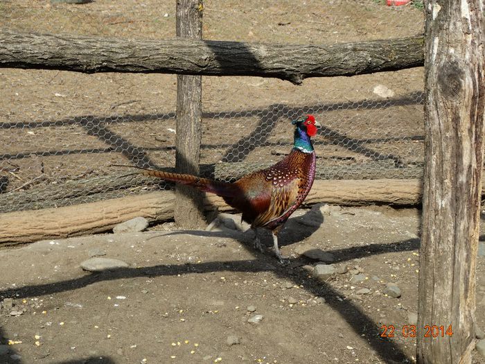 DSC01151