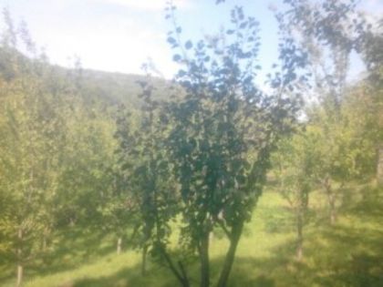 1378971003333 - altoirea in despicatura evolutii 27 mai 2013