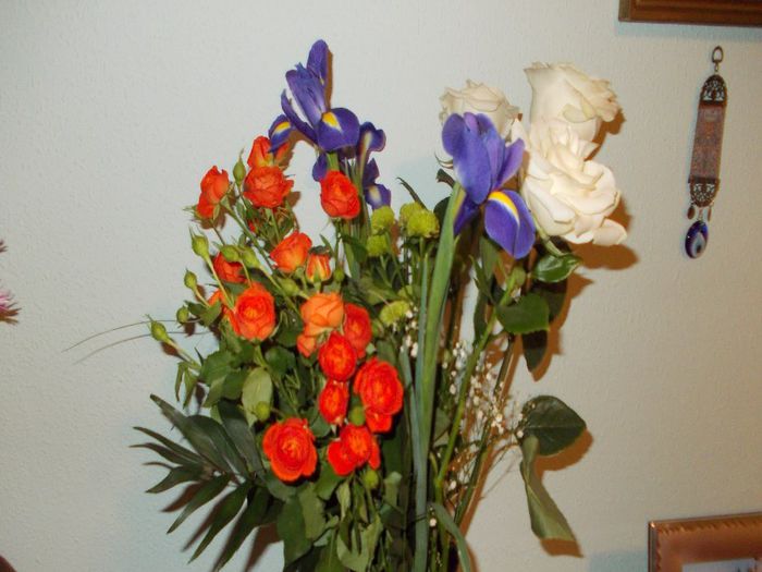 flori de primavara 001; trandafiri si irisi de la pensionarea Tamarei
