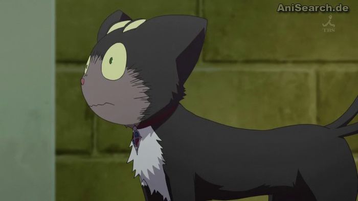 kuro 2 - Anime Cats