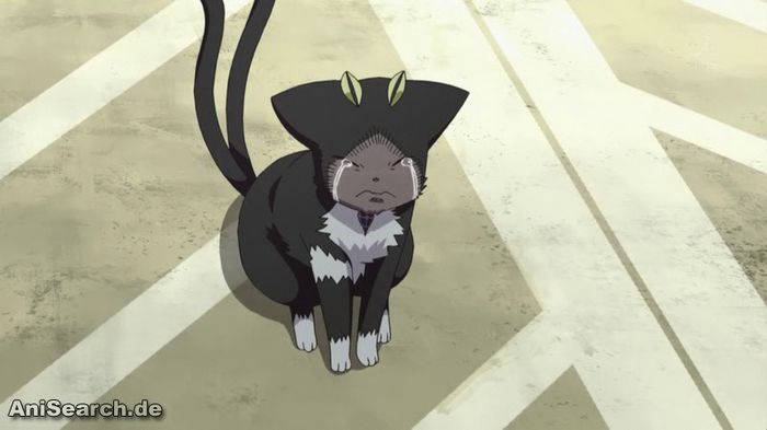 kuro 4 - Anime Cats