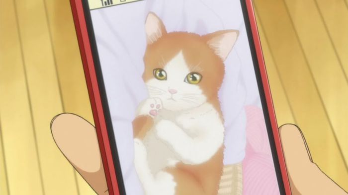 15 - Anime Cats