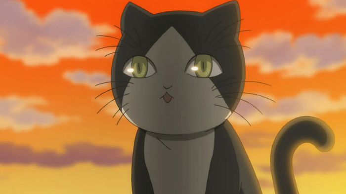 17 - Anime Cats