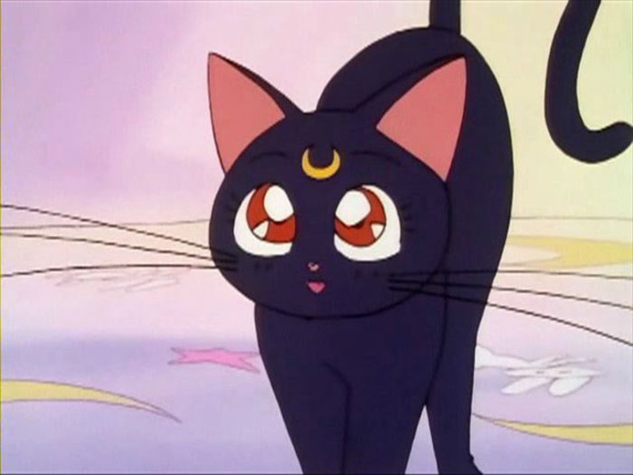 18 - Anime Cats