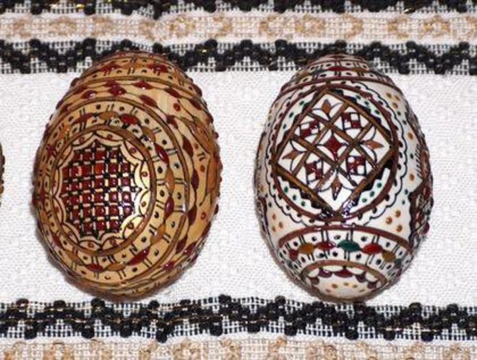 196266_156518737743088_7836002_n