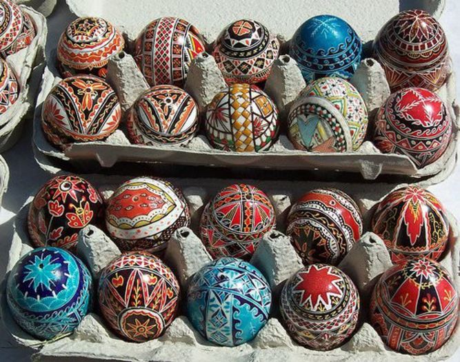 199577_156518551076440_2328177_n