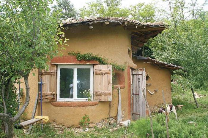 1560527_690719477633317_201762036_n