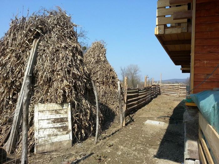 10153793_440173416128299_2091398608_n