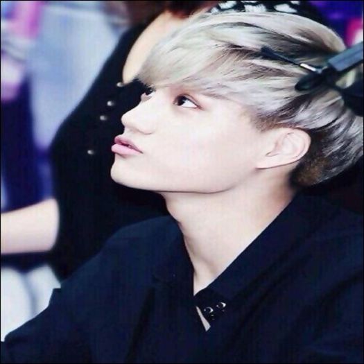 ¤ 27.O3.2O14 ¤; | Kai |
