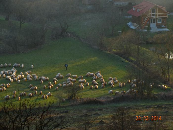 DSC01197 - Peisaje 2014 si alte imagini