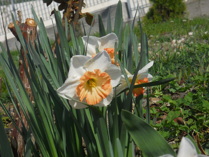 DSCN0854_004