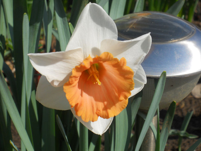 DSCN0858_008